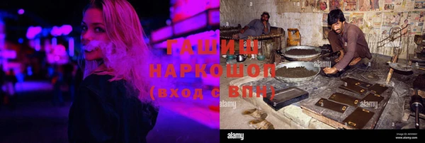 молекула духа Богородицк