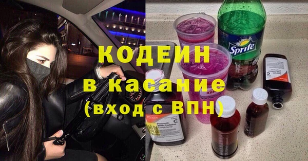 молекула духа Богородицк