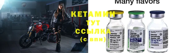 молекула духа Богородицк