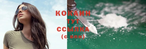молекула духа Богородицк
