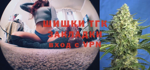 молекула духа Богородицк