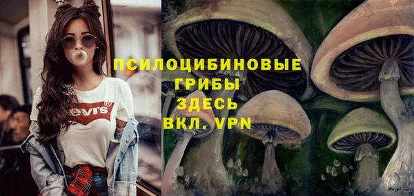 метамфетамин Богданович