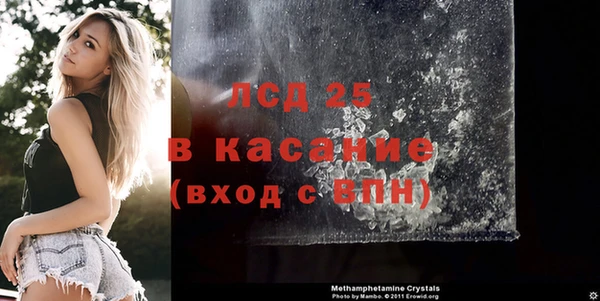 молекула духа Богородицк