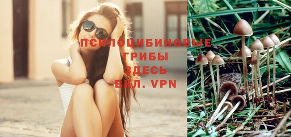 молекула духа Богородицк