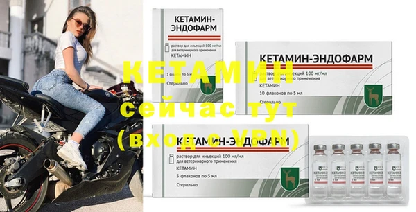 молекула духа Богородицк