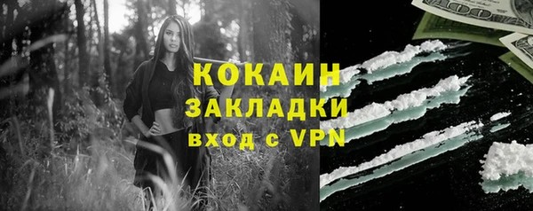 молекула духа Богородицк