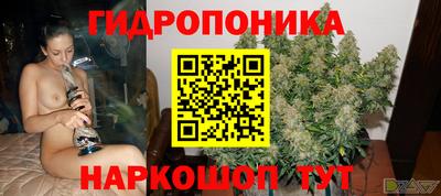 ПСИЛОЦИБИНОВЫЕ ГРИБЫ Нальчик