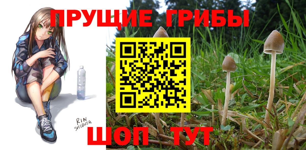 Галлюциногенные грибы GOLDEN TEACHER Валуйки